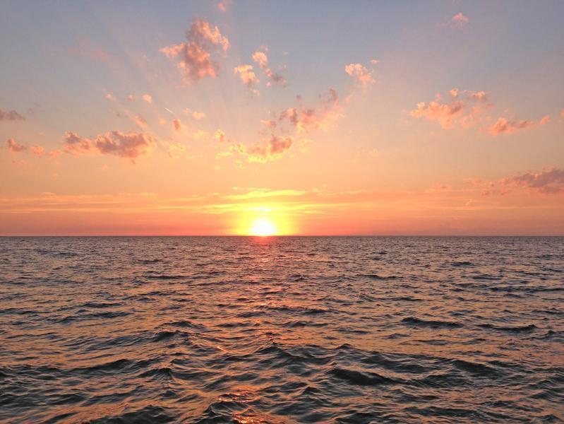 Ysermonde Fisherman'S Cottage นิวว์ปอร์ท ภายนอก รูปภาพ